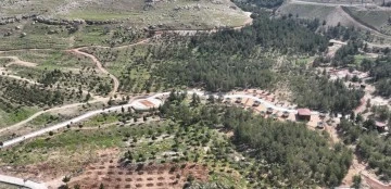 Mardin’de Ormanlık Alanlara giriş ve çıkışlar yasaklandı